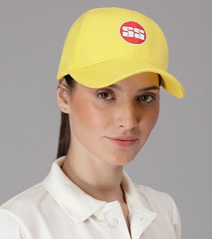 caps-category Faucibus Interdum